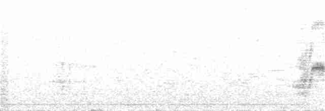 Красноголовый сорокопут - ML244969811