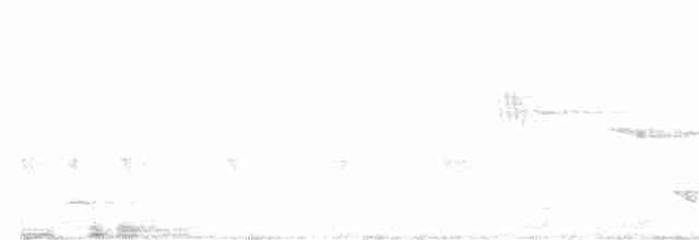 Йора чорнокрила - ML244972181