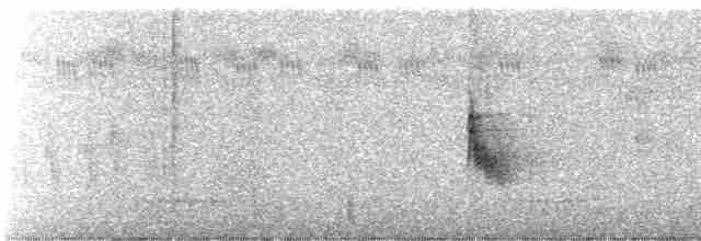 Зерноїд мальований - ML244984