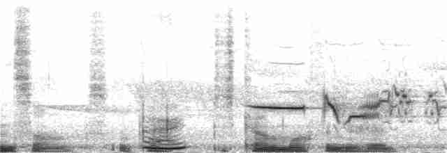 Дрізд-короткодзьоб плямистоволий - ML244995551