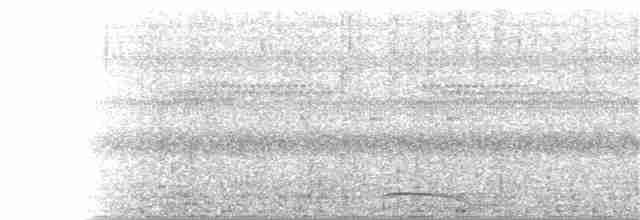 Ошейниковый лесной сокол - ML245012781