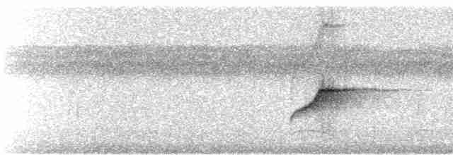 Желтоватый мухоед (pallescens) - ML245013