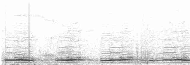 Toucan Barbet - ML245021171