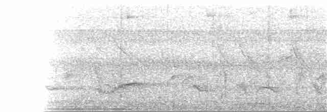 Eufonia Ventricastaña - ML245022021