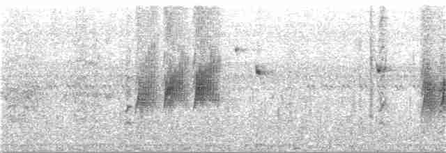 Eufonia Ventricastaña - ML245023611
