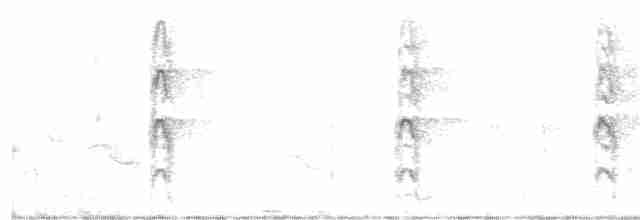 Black Tern - ML245056501