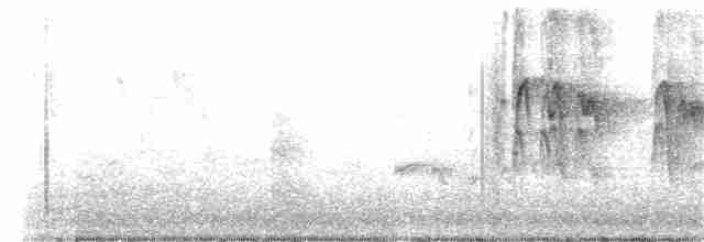 סנונית רפתות - ML245076231