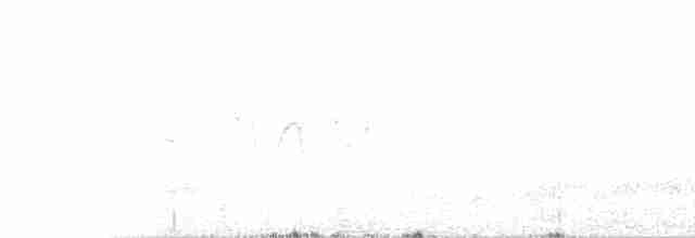 Canada Warbler - ML245077001