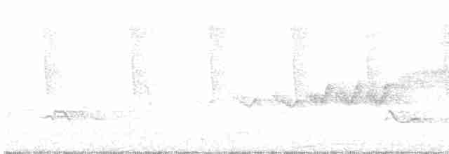 Cerulean Warbler - ML245077171