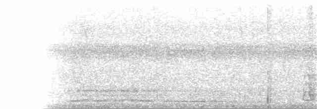 Pava Oscura - ML245077991
