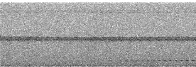 svartbrynugle - ML245101