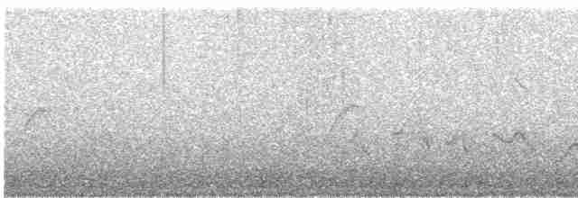 Pale-headed Brushfinch - ML245114