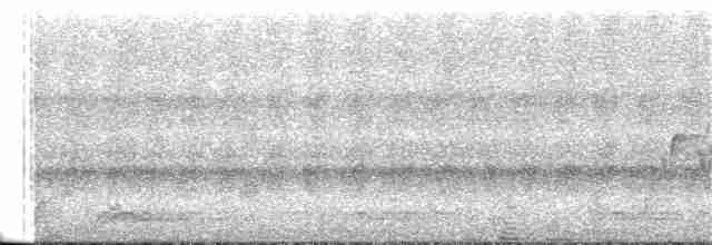 Kara Kulaklı Kasapkuşu - ML245125391