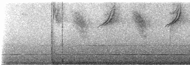 Серогрудая пипира (rubrirostris) - ML245129