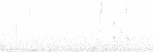 Тасманийская кустовка - ML245129211