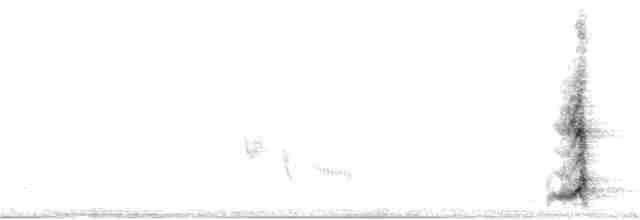 Медолюб-сережник східний - ML245129281