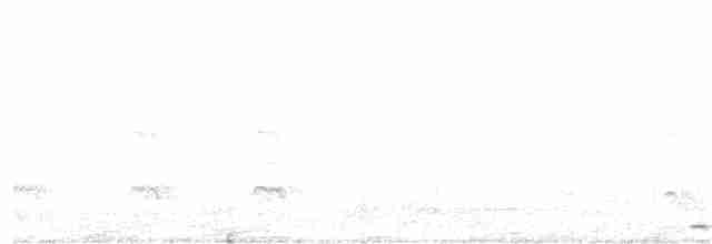 White-throated Screech-Owl - ML245137651