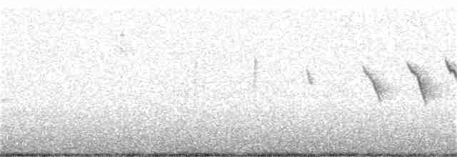 Paruline à cimier noir - ML245141061