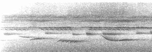 White-necked Thrush (Gray-flanked) - ML245186