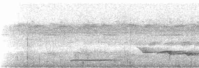 holub safírový - ML245211