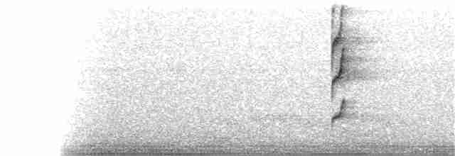White-throated Spadebill - ML245214091