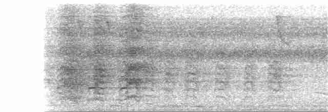 Aratinga Ojiblanca - ML245215081