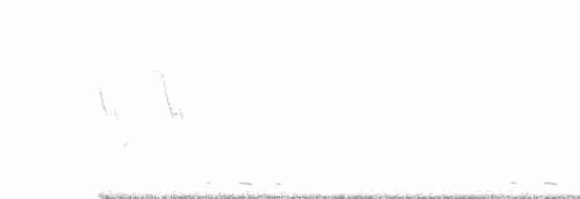 Black-billed Cuckoo - ML245230621