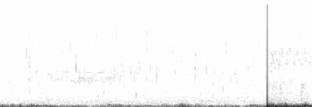 Bruant à couronne blanche - ML245259621