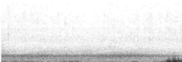 Chestnut-sided Warbler - ML245289701