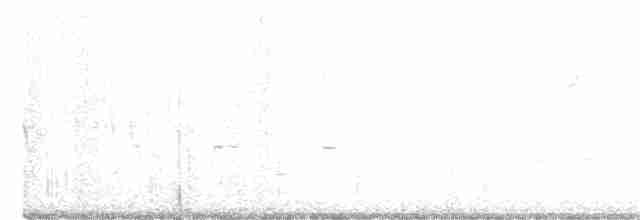 Красношапочная атлапета - ML245293101