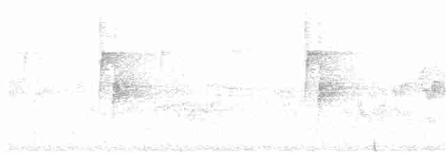 lesňáček modropláštíkový - ML245303261