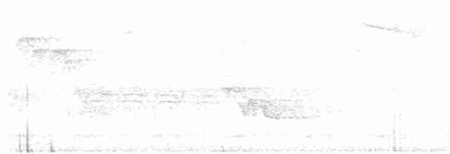 lesňáček modropláštíkový - ML245303271