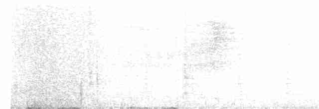 Chouette rayée - ML245305631