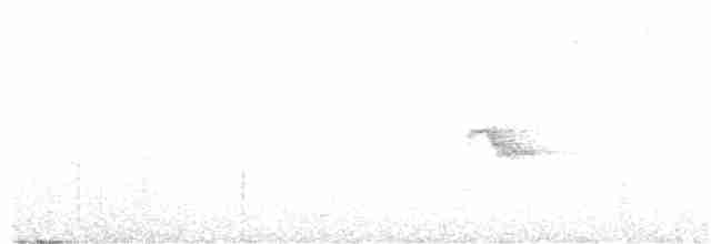 Дрізд-короткодзьоб канадський - ML245307401