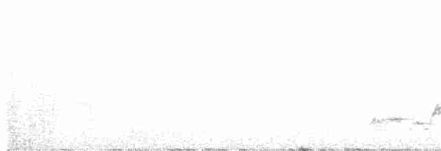 brunkinnskogtrost (swainsoni gr.) - ML245307541
