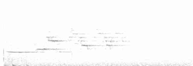 Дрозд-отшельник - ML245307571