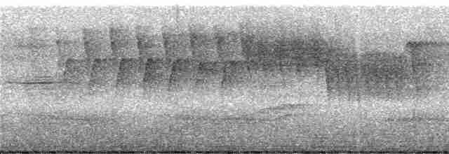 fjellfotelenia (olallai) - ML245316