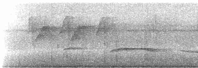 Rufous-tailed Stipplethroat - ML245332