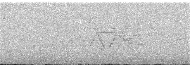 Gri Yanaklı Bülbül Ardıcı - ML245334131