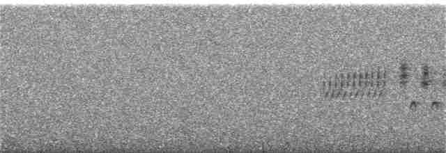 Юнко сірий (підвид cismontanus) - ML245335791