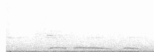 珠頸斑鳩 - ML245343151