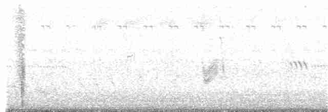 Savannennachtschwalbe - ML245343331