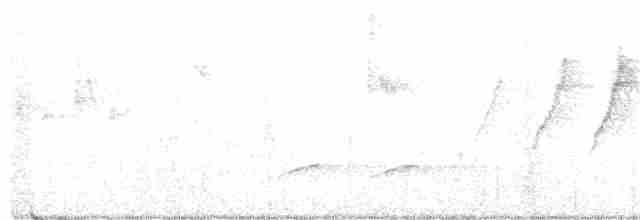 Paruline orangée - ML245387101