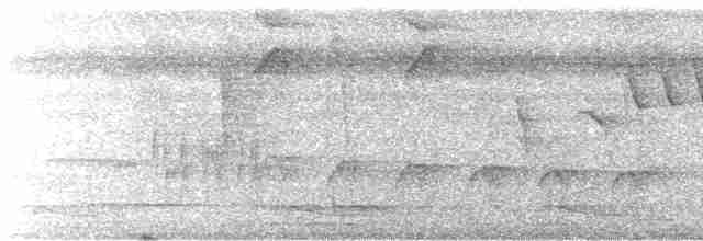 Gray-mantled Wren - ML245404