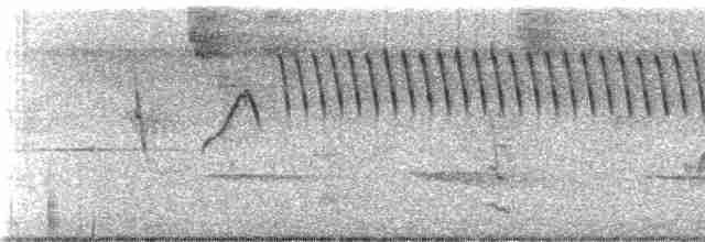 Gray-mantled Wren - ML245410