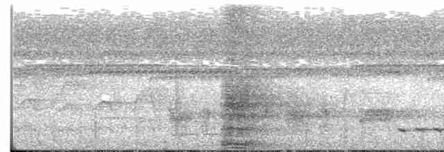 Bornean Ground-Cuckoo - ML245452521