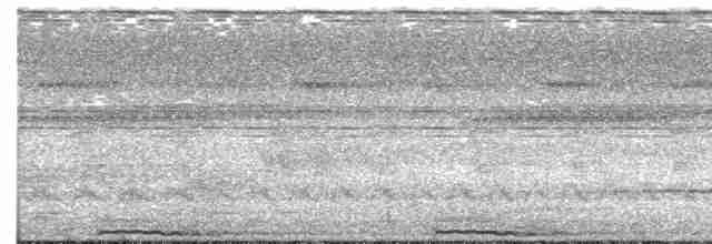 Bornean Ground-Cuckoo - ML245452561