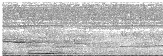 Bornean Ground-Cuckoo - ML245452591