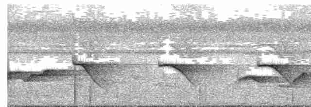 White-chested Babbler - ML245456921