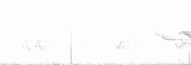 lesňáček modrohřbetý - ML245459331